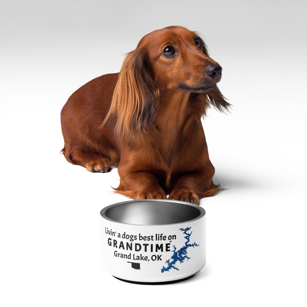 LIVIN' A DOGS BEST LIFE ON GRANDTIME Pet bowl
