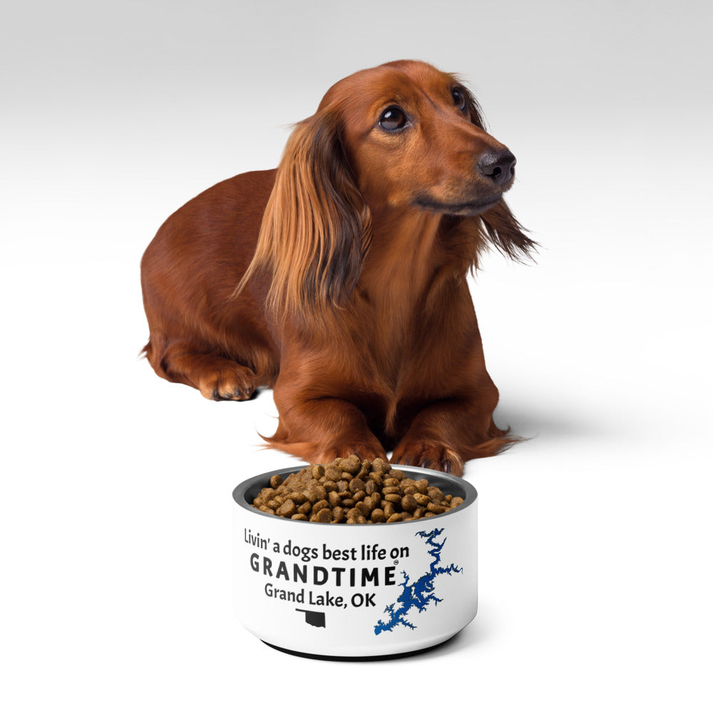 LIVIN' A DOGS BEST LIFE ON GRANDTIME Pet bowl