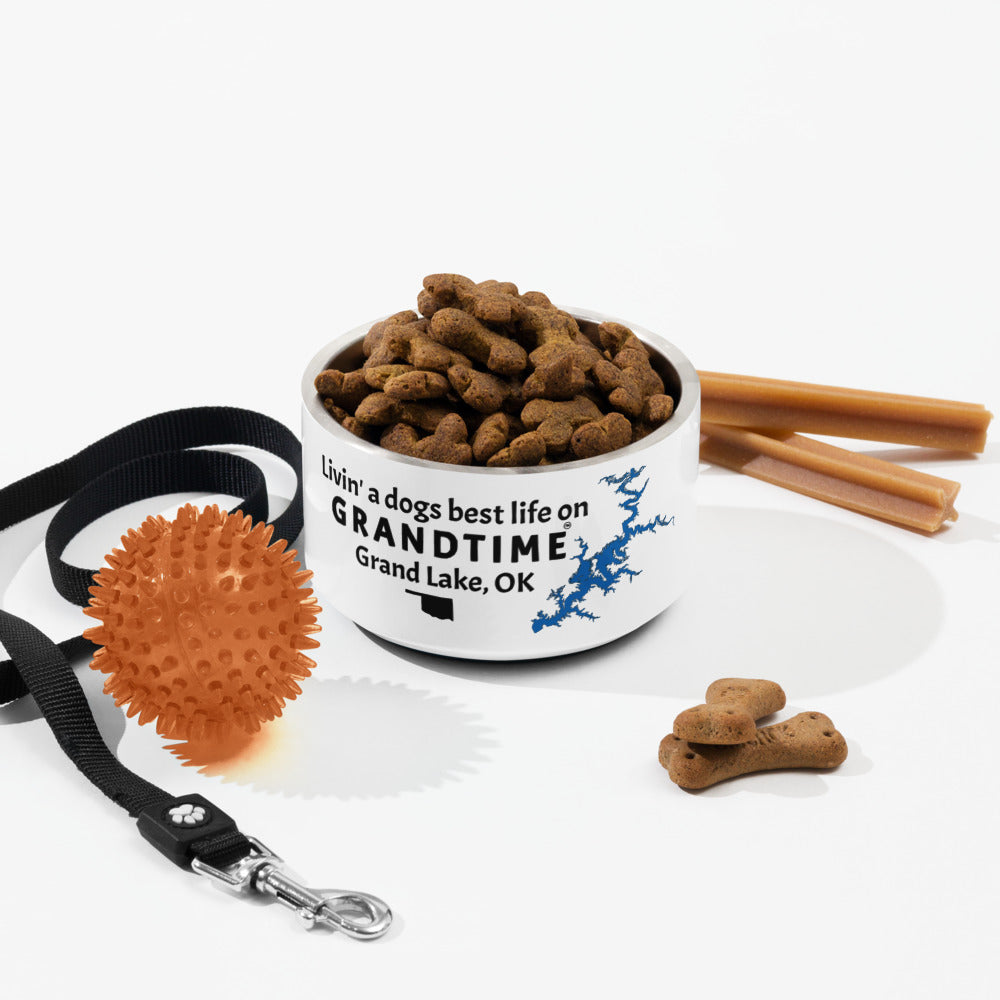 LIVIN' A DOGS BEST LIFE ON GRANDTIME Pet bowl