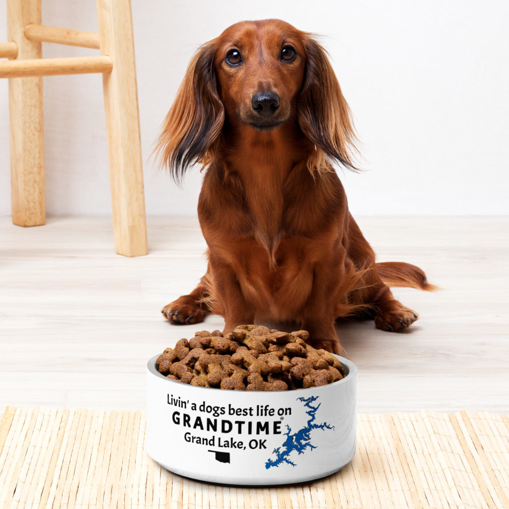 LIVIN' A DOGS BEST LIFE ON GRANDTIME Pet bowl