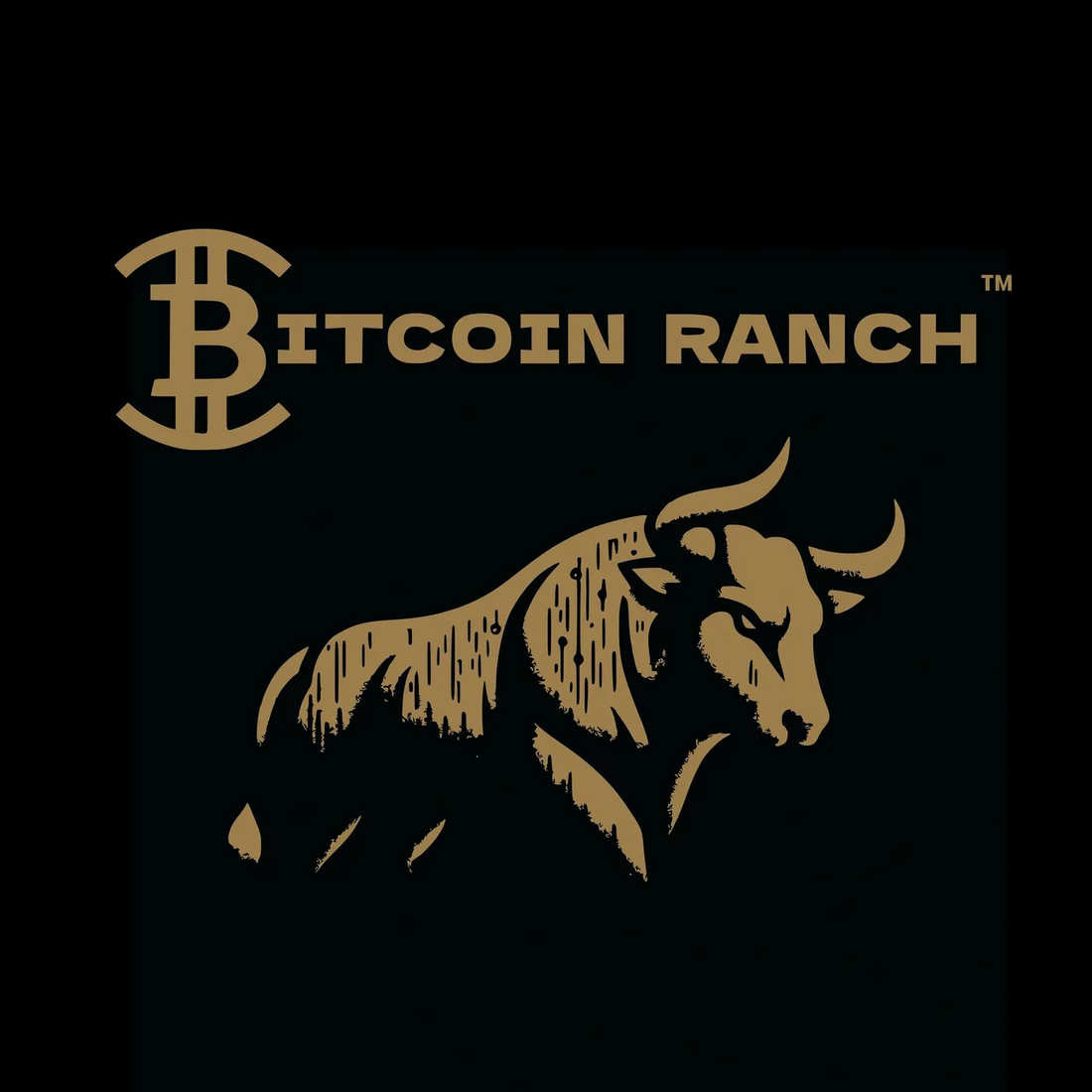 Bitcoin Ranch Black and Gold Rollout.