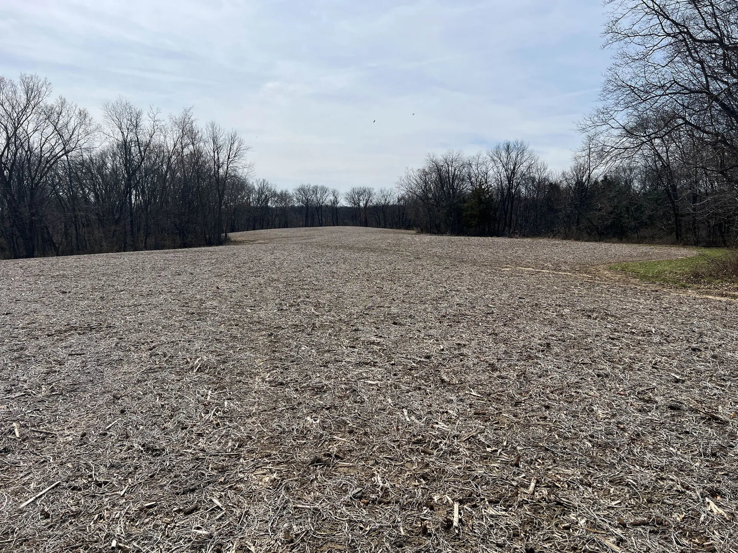 80± Acres Hunting Land with Income & Timber | Fulton County, Illinois