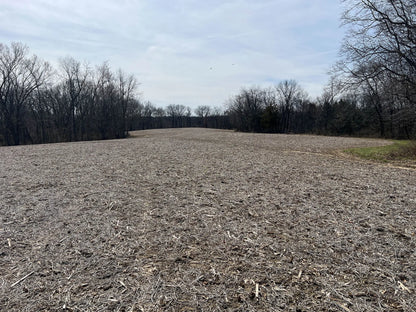 80± Acres Hunting Land with Income & Timber | Fulton County, Illinois