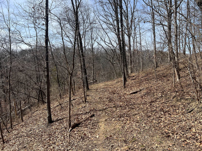 80± Acres Hunting Land with Income & Timber | Fulton County, Illinois