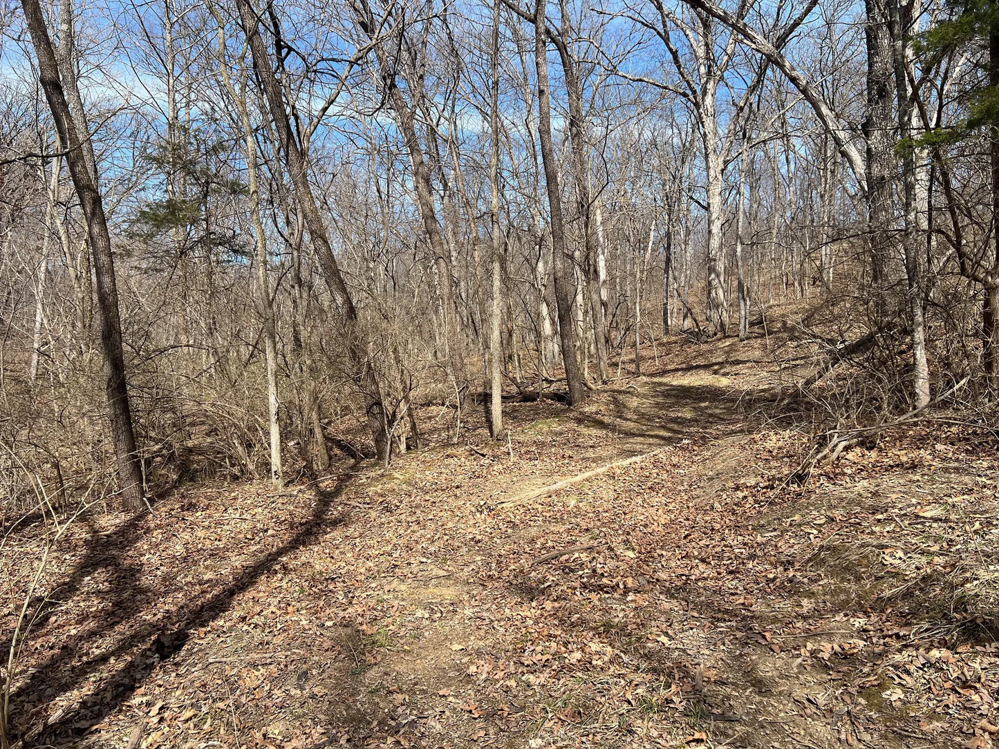 80± Acres Hunting Land with Income & Timber | Fulton County, Illinois
