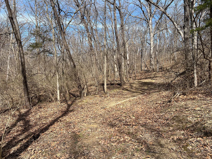 80± Acres Hunting Land with Income & Timber | Fulton County, Illinois