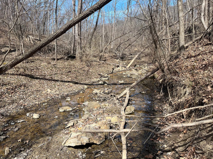 80± Acres Hunting Land with Income & Timber | Fulton County, Illinois