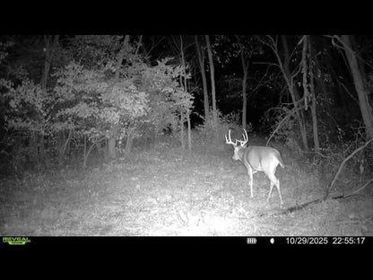 80± Acres Hunting Land with Income & Timber | Fulton County, Illinois