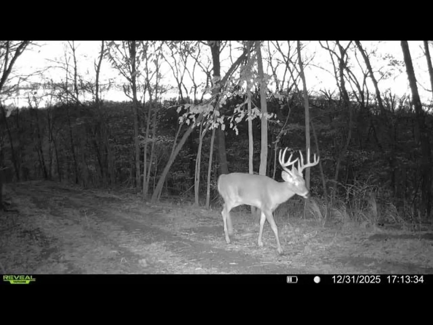 80± Acres Hunting Land with Income & Timber | Fulton County, Illinois
