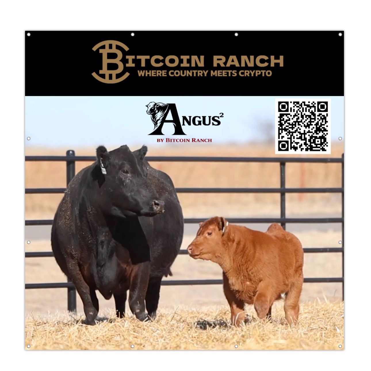 Bitcoin Ranch Snap Shirt