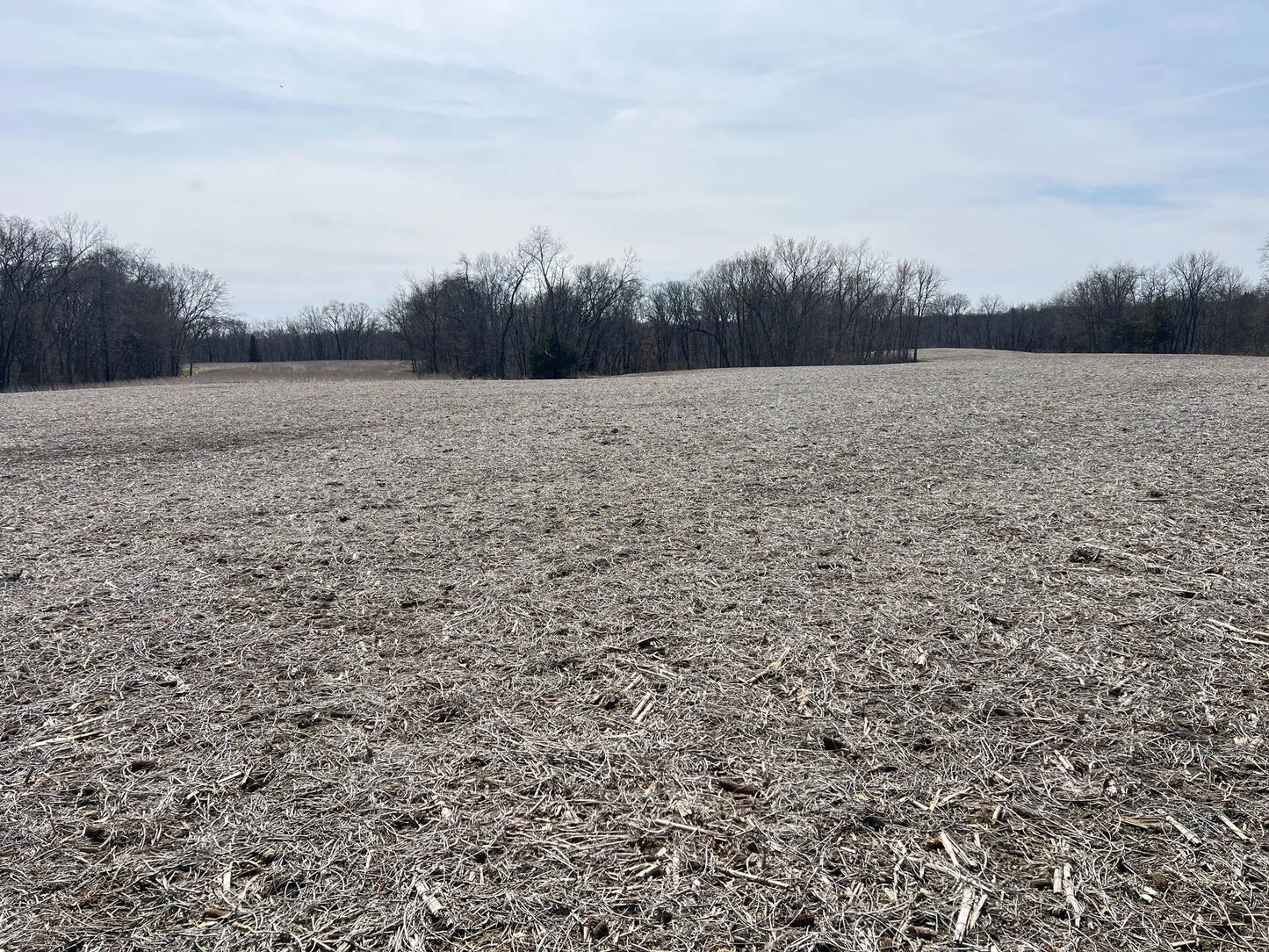80± Acres Hunting Land with Income & Timber | Fulton County, Illinois