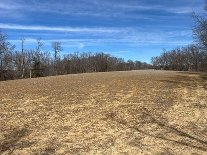 80± Acres Hunting Land with Income & Timber | Fulton County, Illinois